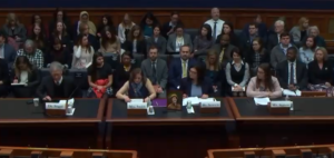 Renee Smith sits in front of Congress testifying, as an audience sits behind her. 